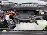 2023 F-150 Thumbnail 38