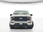 2023 F-150 Thumbnail 4