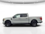 2023 F-150 Thumbnail 9