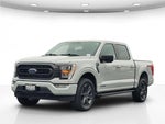 2023 F-150 Thumbnail 10