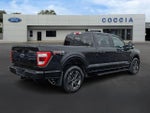 2023 F-150 Thumbnail 4