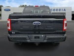 2023 F-150 Thumbnail 5