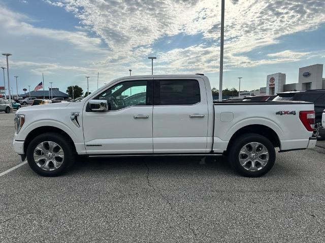 2023 Ford F-150 Platinum — photo 1 of 24