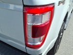 2023 F-150 Thumbnail 15