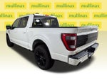 2023 F-150 Thumbnail 12