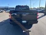 2023 F-150 Thumbnail 4