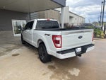 2023 F-150 Thumbnail 4