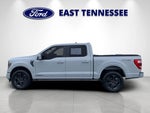 2023 F-150 Thumbnail 6