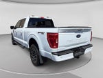 2023 F-150 Thumbnail 3