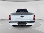 2023 F-150 Thumbnail 4