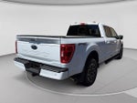 2023 F-150 Thumbnail 5