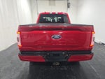2023 F-150 Thumbnail 4