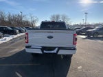 2023 F-150 Thumbnail 8