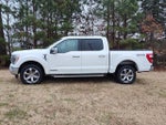 2023 F-150 Thumbnail 4