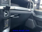 2023 F-150 Thumbnail 15