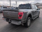 2023 F-150 Thumbnail 3