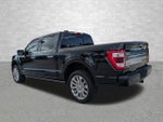 2023 F-150 Thumbnail 4