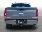 2023 F-150 Thumbnail 5