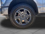 2023 F-150 Thumbnail 11