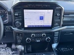 2023 F-150 Thumbnail 13