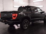 2023 F-150 Thumbnail 9