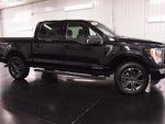 2023 F-150 Thumbnail 10