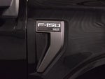 2023 F-150 Thumbnail 13