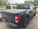 2023 F-150 Thumbnail 4