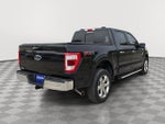 2023 F-150 Thumbnail 5