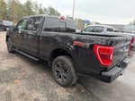 2021 F-150 Thumbnail 3