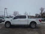 2021 F-150 Thumbnail 8