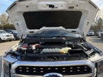 2021 F-150 Thumbnail 19