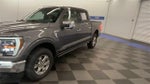 2021 F-150 Thumbnail 4