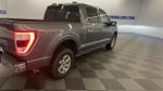 2021 F-150 Thumbnail 8