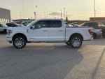 2021 F-150 Thumbnail 11