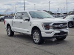 2021 F-150 Thumbnail 5