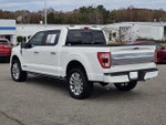 2021 F-150 Thumbnail 12