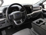 2021 F-150 Thumbnail 8