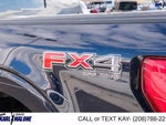 2021 F-150 Thumbnail 16