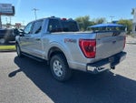 2021 F-150 Thumbnail 4