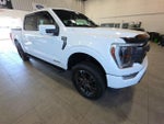 2021 F-150 Thumbnail 4