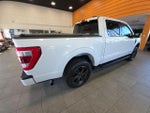 2021 F-150 Thumbnail 6