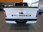 2021 F-150 Thumbnail 8