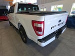 2021 F-150 Thumbnail 10