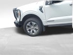2021 F-150 Thumbnail 8
