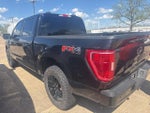 2021 F-150 Thumbnail 4