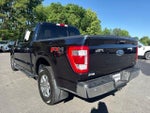 2021 F-150 Thumbnail 3