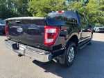 2021 F-150 Thumbnail 5