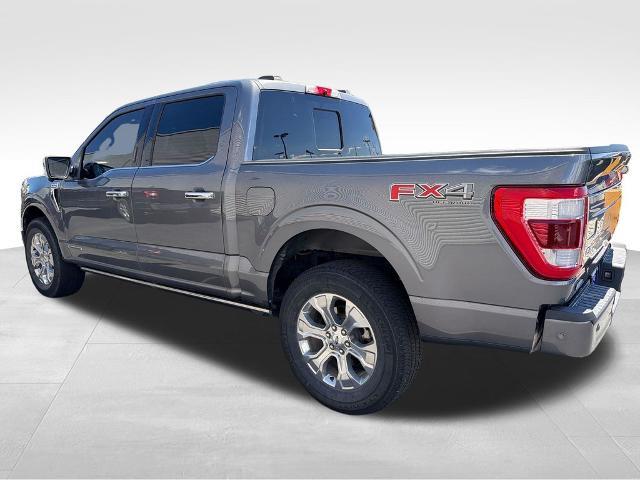 2022 Ford F-150 Platinum — photo 1 of 12
