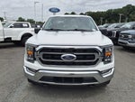 2022 F-150 Thumbnail 8